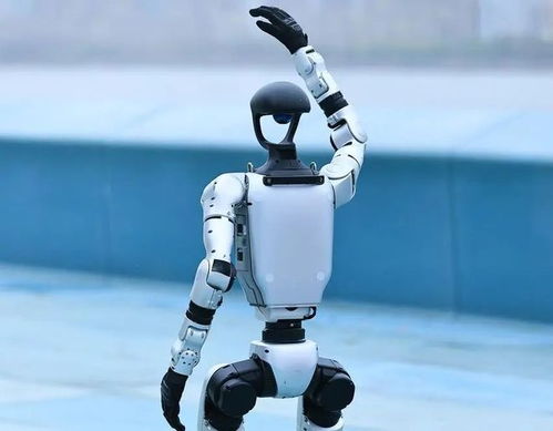 人形機器人產(chǎn)業(yè)迎來爆發(fā)期，宇樹科技啟動IPO引領(lǐng)行業(yè)新浪潮